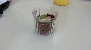 20140218_133802